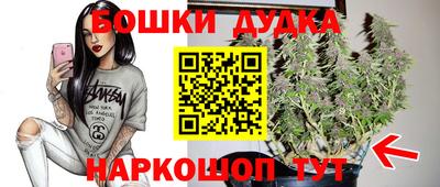 соль ск Славгород
