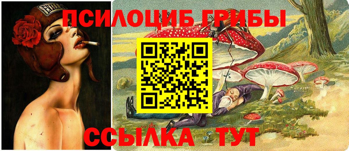 как найти наркотики  Галлюциногенные грибы ЛСД  Вход с VPN  Ачхой-Мартан 